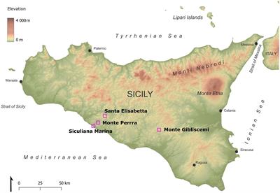 Gypsum endolithic phototrophs under moderate climate (Southern Sicily): their diversity and pigment composition